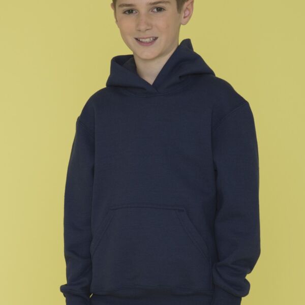 Affilliate ATC EVERYDAY FLEECE HOODED YOUTH SWEATSHIRT. Thumbnail