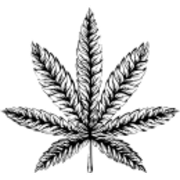 Untitled 3 02 Thumbnail