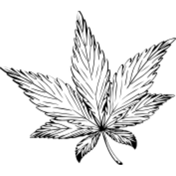 Untitled 3 03 Thumbnail