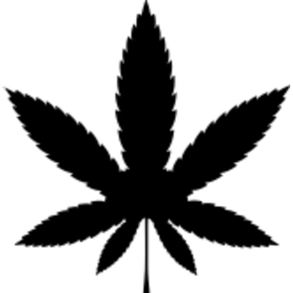 Untitled 3 06 Thumbnail