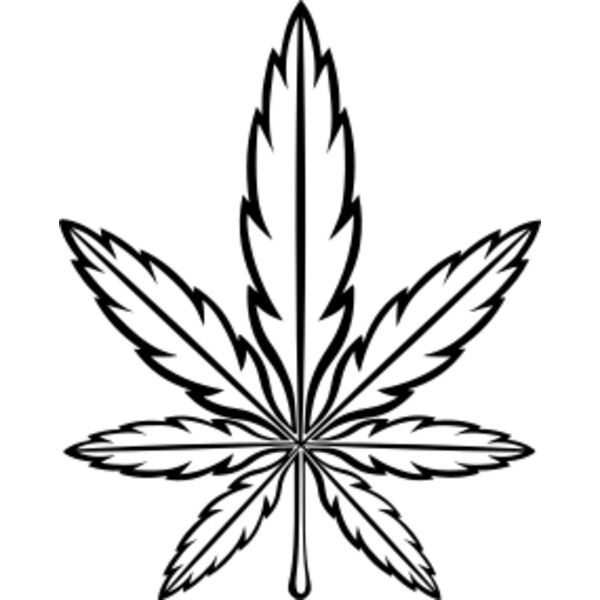 Untitled 3 13 Thumbnail