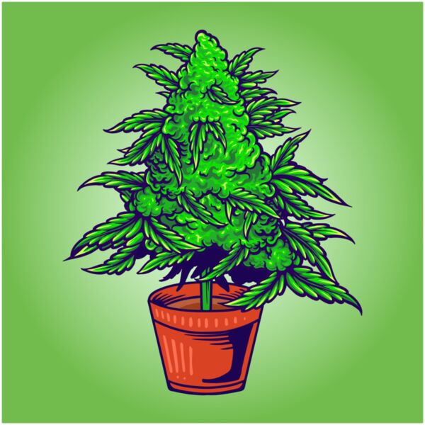 cannabis weed leaf plant with pot medicine illustrations Thumbnail