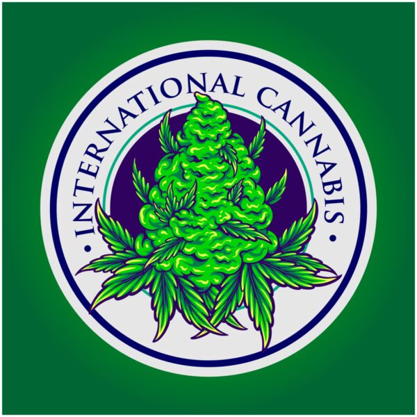 international cannabis plant vintage logo badge illustrations Thumbnail