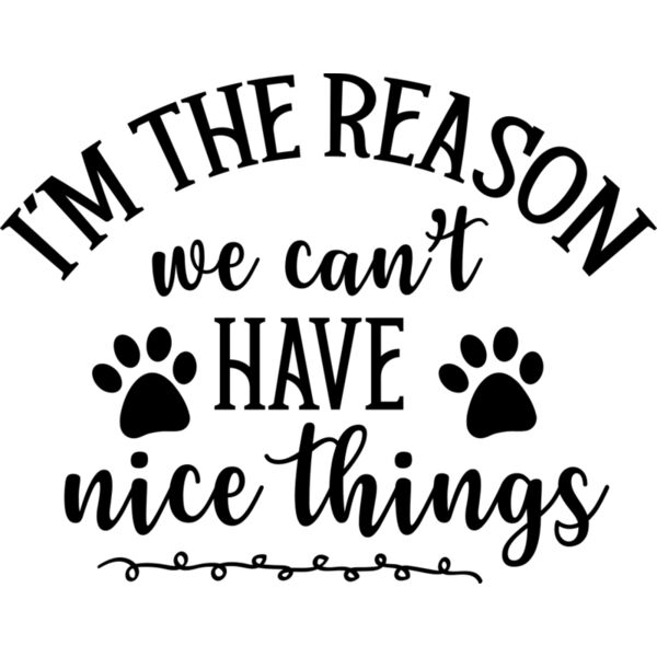 I m The Reason We Can t Have Nice Things 01 Thumbnail