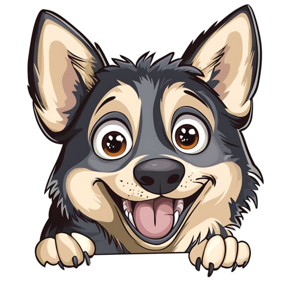 63 Swedish Vallhund Thumbnail