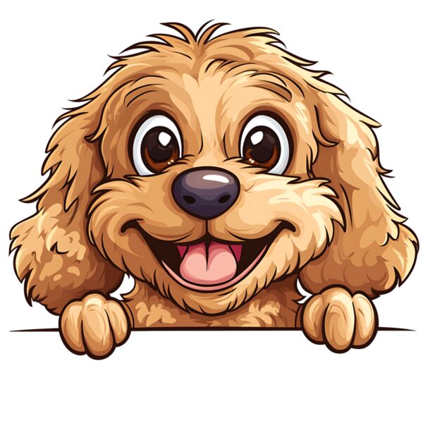 52 Cavapoo Thumbnail