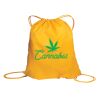ATC EVERYDAY REUSABLE CINCH PACK. 4 L. Thumbnail