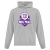 Affiliate ATC EVERYDAY FLEECE HOODED SWEATSHIRT. Thumbnail