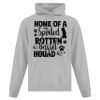 Affiliate ATC EVERYDAY FLEECE HOODED SWEATSHIRT. Thumbnail