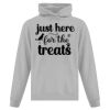 Affiliate ATC EVERYDAY FLEECE HOODED SWEATSHIRT. Thumbnail