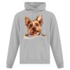 Affiliate ATC EVERYDAY FLEECE HOODED SWEATSHIRT. Thumbnail