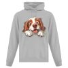 Affiliate ATC EVERYDAY FLEECE HOODED SWEATSHIRT. Thumbnail