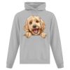 Affiliate ATC EVERYDAY FLEECE HOODED SWEATSHIRT. Thumbnail