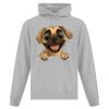 Affiliate ATC EVERYDAY FLEECE HOODED SWEATSHIRT. Thumbnail