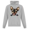 Affiliate ATC EVERYDAY FLEECE HOODED SWEATSHIRT. Thumbnail