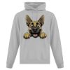 Affiliate ATC EVERYDAY FLEECE HOODED SWEATSHIRT. Thumbnail