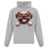 Affiliate ATC EVERYDAY FLEECE HOODED SWEATSHIRT. Thumbnail