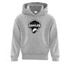 Affilliate ATC EVERYDAY FLEECE HOODED YOUTH SWEATSHIRT. Thumbnail