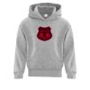 Affilliate ATC EVERYDAY FLEECE HOODED YOUTH SWEATSHIRT. Thumbnail