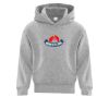 Affilliate ATC EVERYDAY FLEECE HOODED YOUTH SWEATSHIRT. Thumbnail