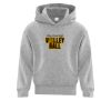 Affilliate ATC EVERYDAY FLEECE HOODED YOUTH SWEATSHIRT. Thumbnail