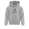 Affilliate ATC EVERYDAY FLEECE HOODED YOUTH SWEATSHIRT. Thumbnail