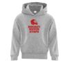 Affilliate ATC EVERYDAY FLEECE HOODED YOUTH SWEATSHIRT. Thumbnail