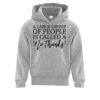 Affilliate ATC EVERYDAY FLEECE HOODED YOUTH SWEATSHIRT. Thumbnail
