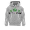 Affilliate ATC EVERYDAY FLEECE HOODED YOUTH SWEATSHIRT. Thumbnail