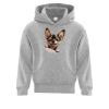 Affilliate ATC EVERYDAY FLEECE HOODED YOUTH SWEATSHIRT. Thumbnail