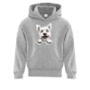 Affilliate ATC EVERYDAY FLEECE HOODED YOUTH SWEATSHIRT. Thumbnail